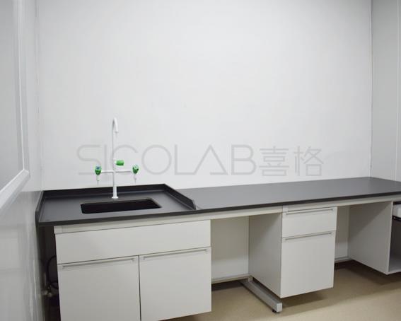 實(shí)驗(yàn)室建設(shè) 實(shí)驗(yàn)室建設(shè)