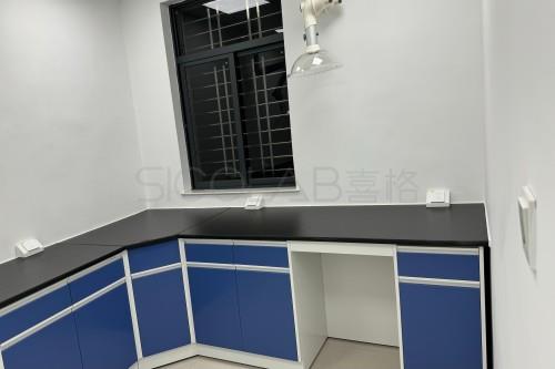 化學(xué)實(shí)驗(yàn)室設(shè)計(jì)